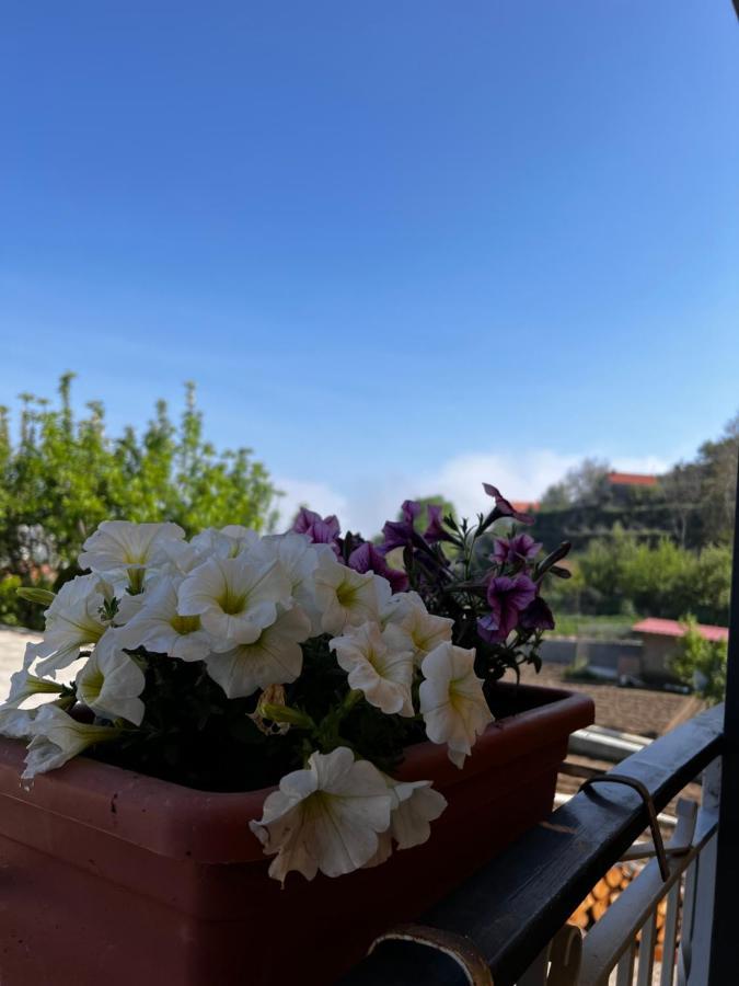 Mamaral Hotel Agerola Kültér fotó